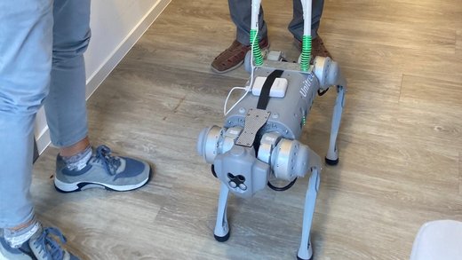 Roboter-Hund am Führgeschirr